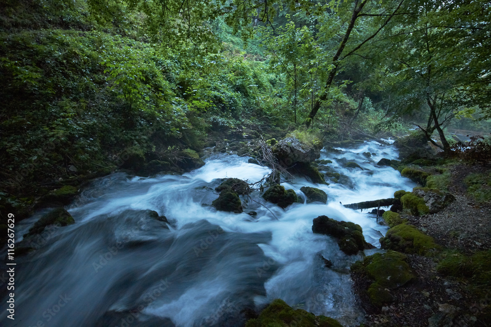 fast flowing rivers in the forests of Montenegro fast flowing rivers in the forests of Montenegro
