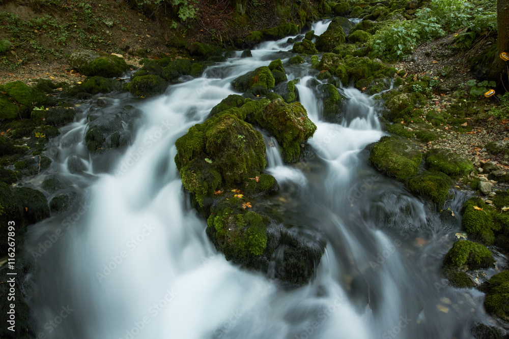 fast flowing rivers in the forests of Montenegro