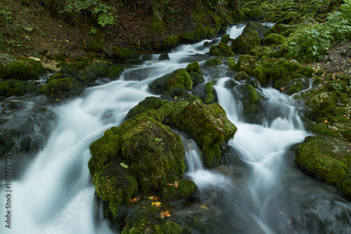 fast flowing rivers in the forests of Montenegro