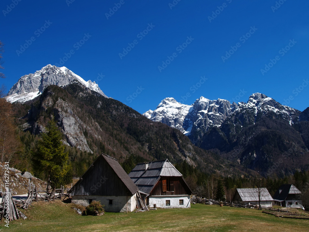 Traditional Alpine farmhouses in the mountains