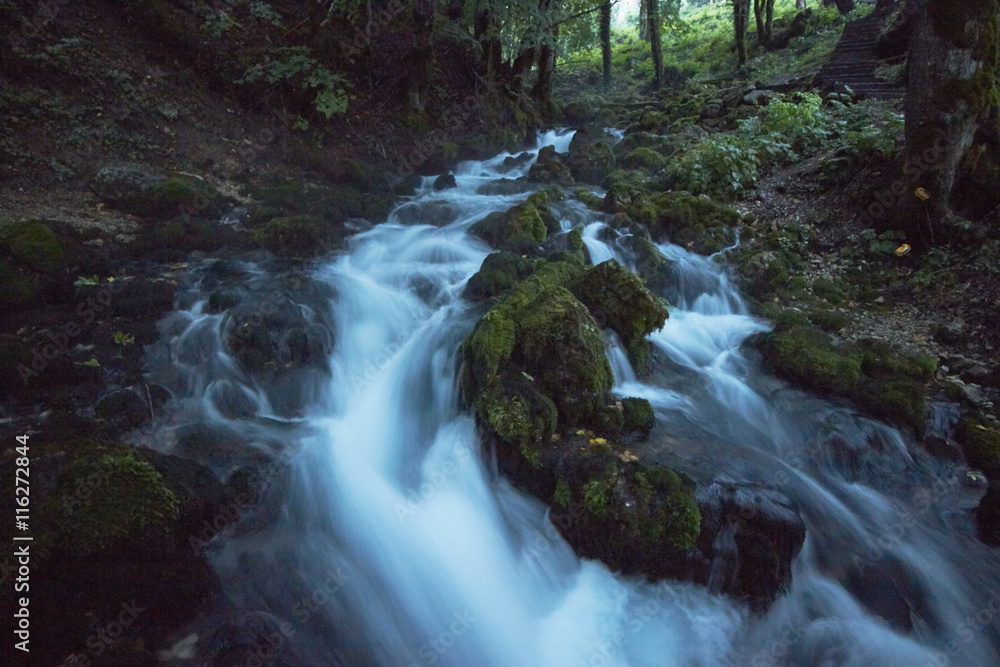 Obraz premium fast flowing rivers in the forests of Montenegro
