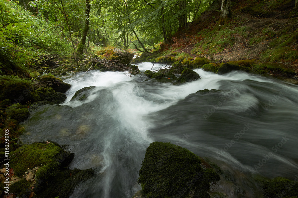 fast flowing rivers in the forests of Montenegro fast flowing rivers in the forests of Montenegro