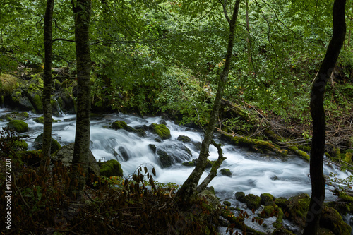 fast flowing rivers in the forests of Montenegro