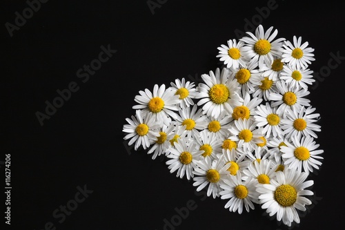 Heart of flowers daisies