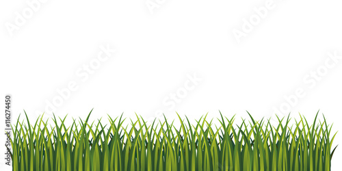 Green grass bottom page panorama frame vector pattern. Fresh summer grass. Graphic illustration.