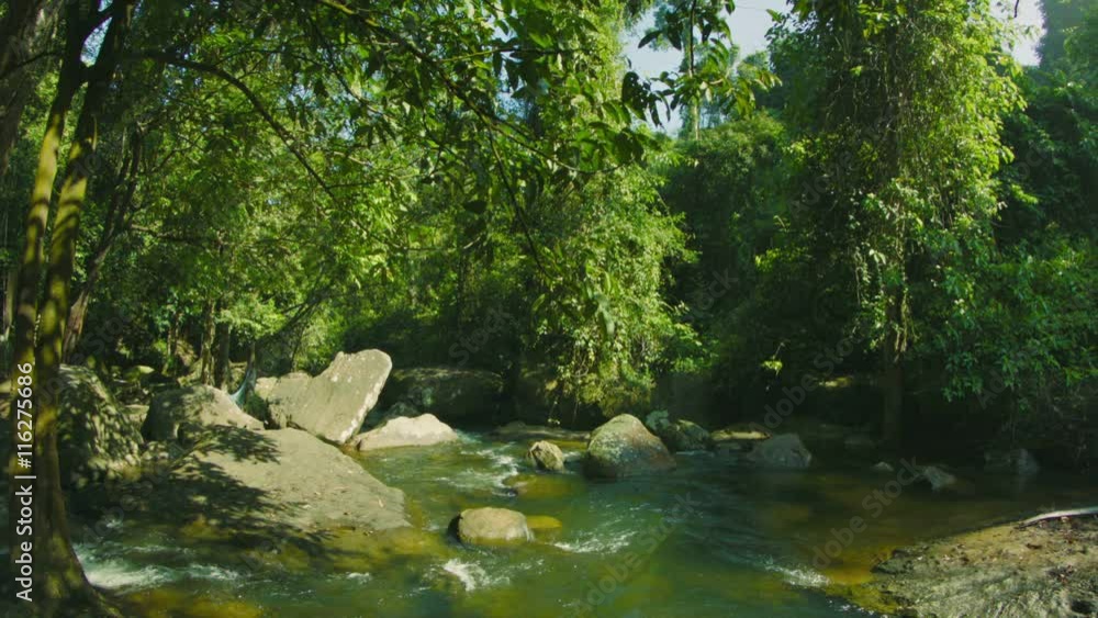 Video 1080p - Small rapids river in the forests of Cambodia Video 1080p - Small rapids river in the forests of Cambodia