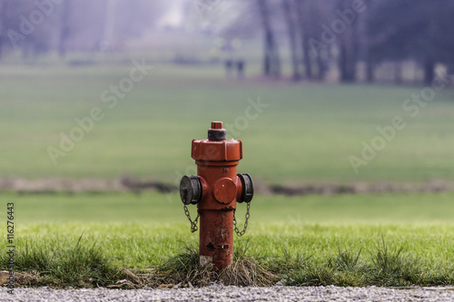 idrante rosso nel parco photo