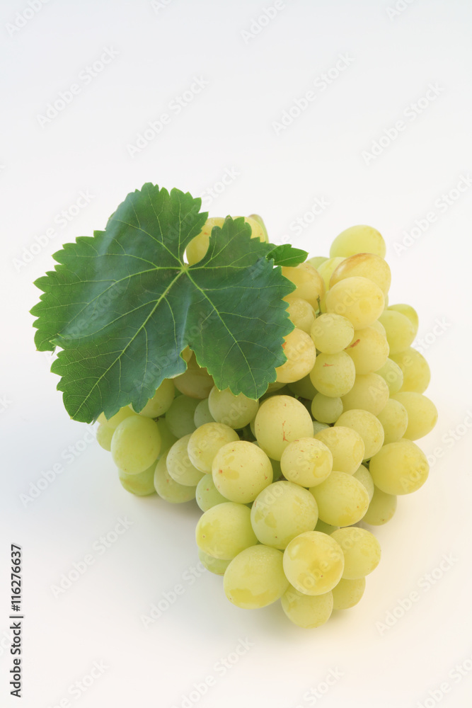 Obraz premium üzüm