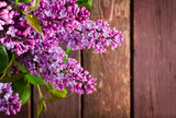 Branch with fresh blooming spring lilac flowers, on wooden background