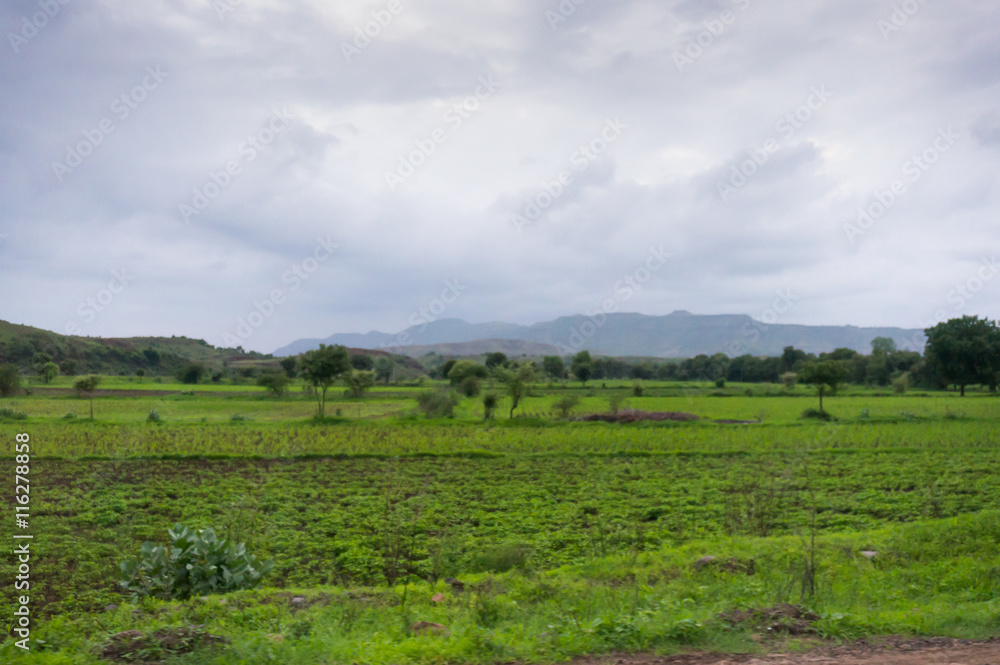 Monsoon clouds over fields 