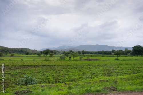 Monsoon clouds over fields 