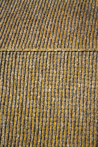 Roof tiles