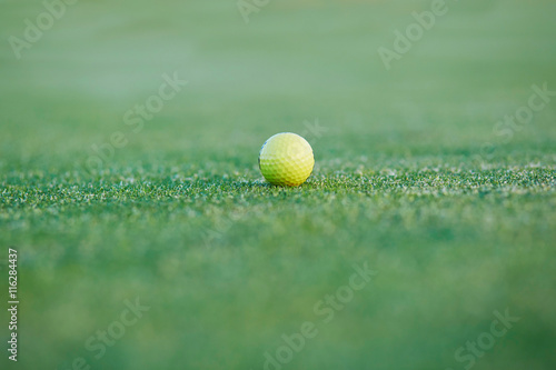 Golf ball on the green © Ekaterina Pokrovsky