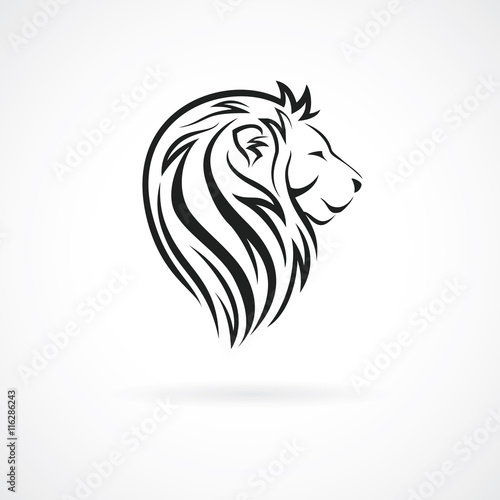 Fototapeta Naklejka Na Ścianę i Meble -  Lion head, vector logo design template, concept icon for logotype, emblem, brand identity, vector illustration