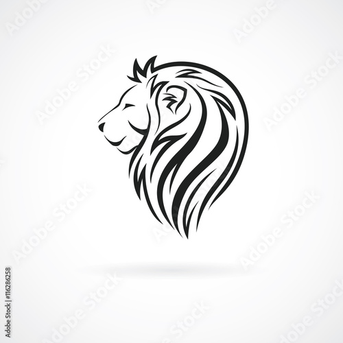 Fototapeta Naklejka Na Ścianę i Meble -  Lion head, vector logo design template, concept icon for logotype, emblem, brand identity, vector illustration