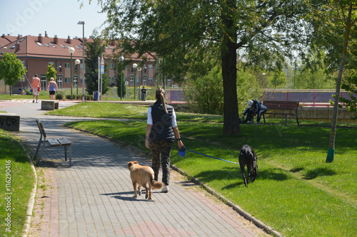 mujer paseando perros
