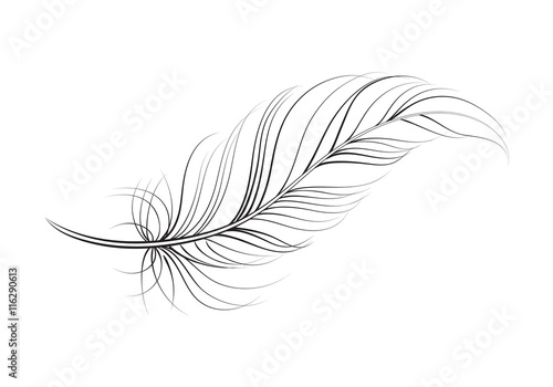 clip art feather, vector Fototapet