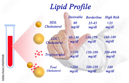 Lipid profile