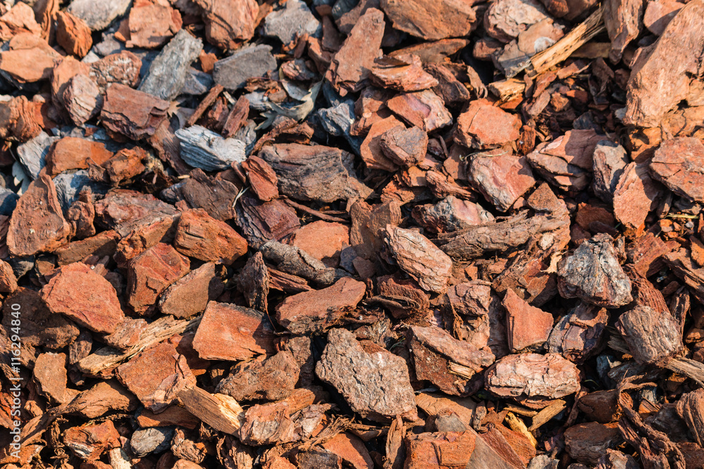 detail of bark chips used as mulch in garden