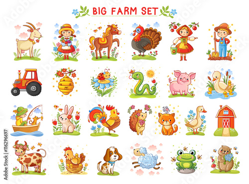 Big Marine set of vector illustration on the marine theme. Collection of sea animals in cartoon style. Tropical summer pictures. Sea life illustration.
