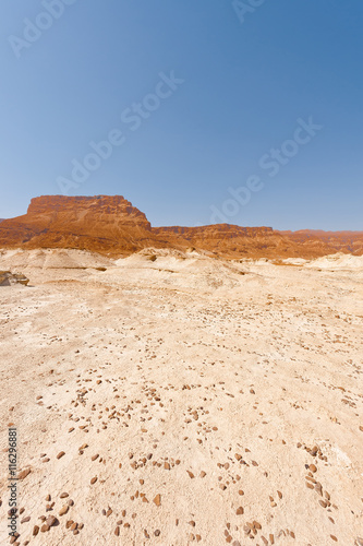 Judean Desert