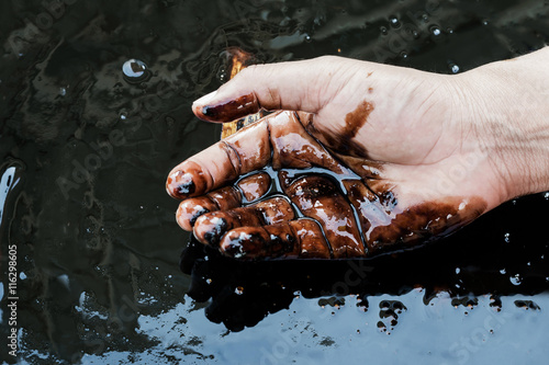 crude oil in hand due to crude oil leak.crude oil low price concept. photo