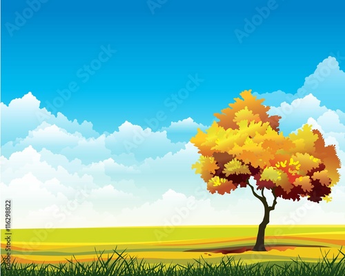 Autumn landscape