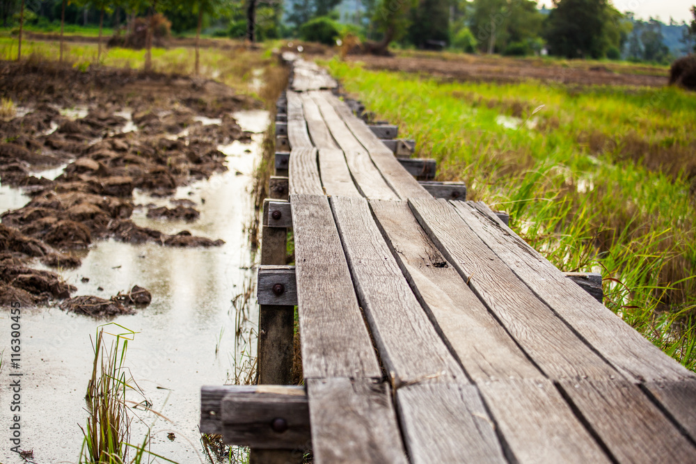 Old wooden bridge through the field . Old wooden bridge through the field .