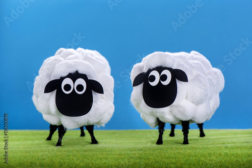Eid Al Adha Sheeps.