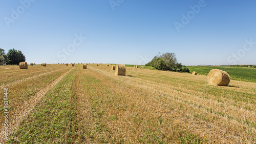 Konstfotografi paysage agricole après moisson