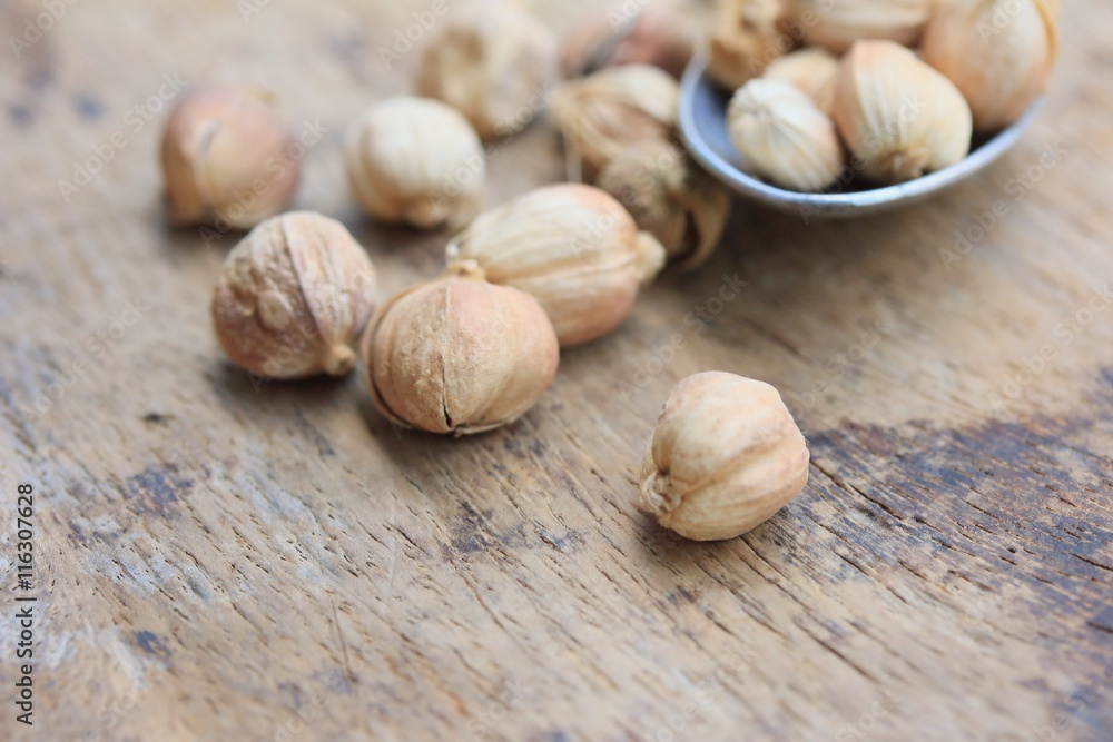 cardamom cardamom