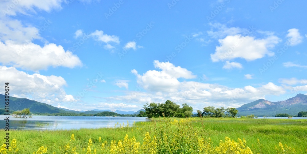 夏の青空と湖畔の風景