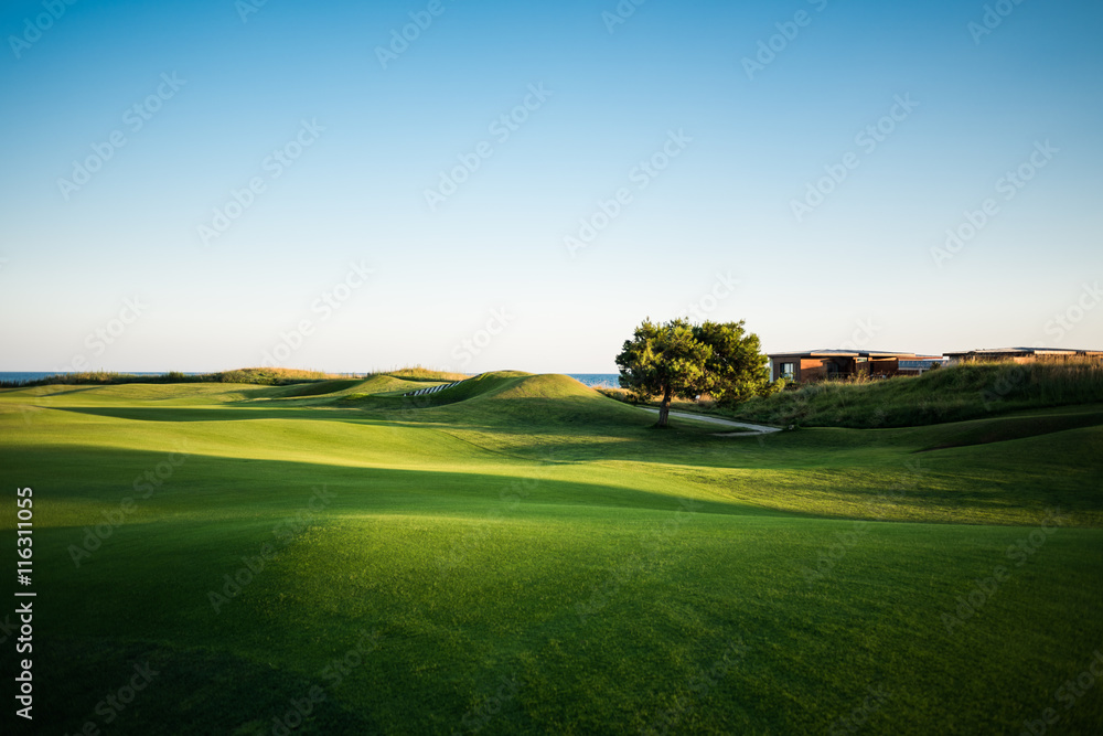 Beautiful golf course with green tree and sea in the background at sunset