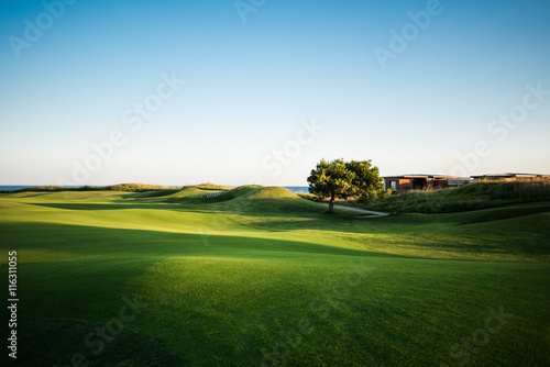 Beautiful golf course with green tree and sea in the background at sunset
