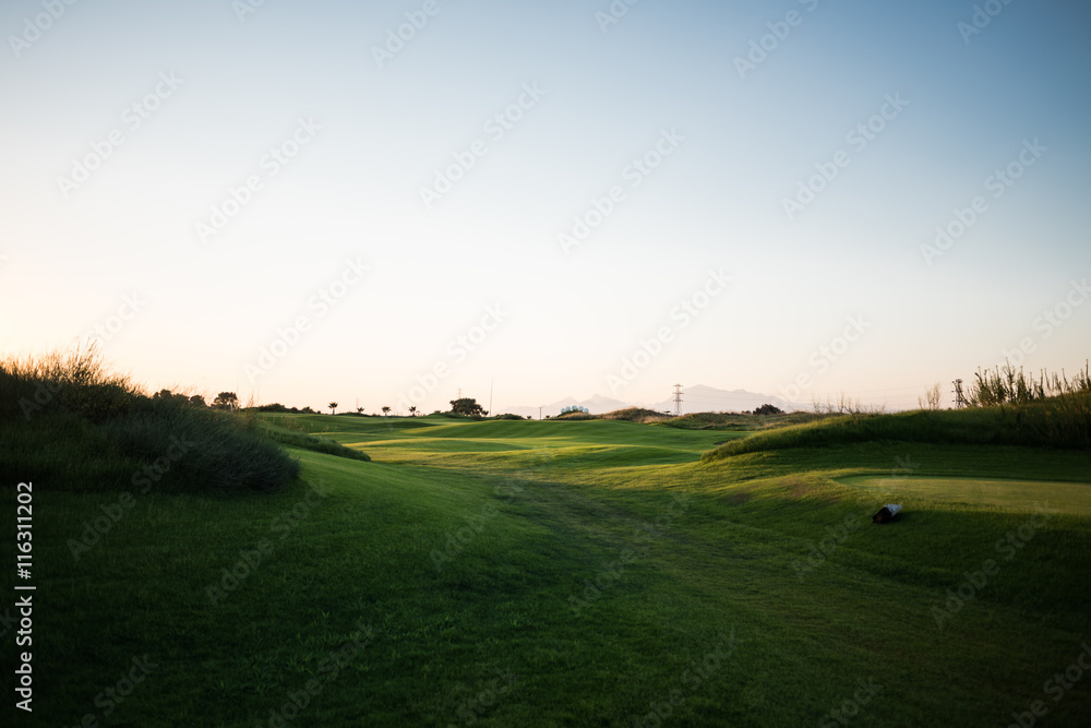 Beautiful golf course with palm trees on the background at sunset