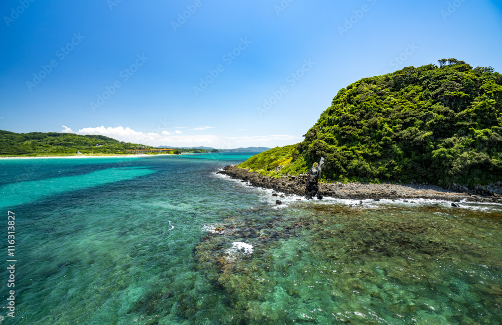 Obraz premium 角島 鳩島