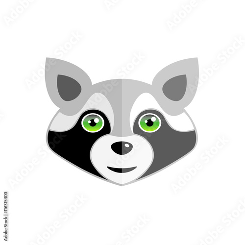 cute raccoon on a white background