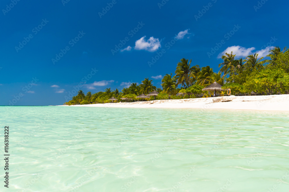 Beautiful tropical beach with palm trees, white sand, turquoise ocean water and blue sky at Kuredu, Maldives