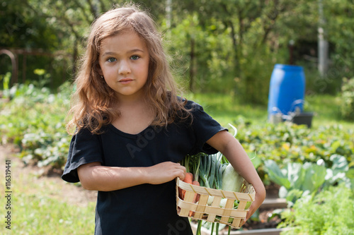 Picking Harvest. Little Cute Six-Year Girl Hold Wicker Basket With Fresh Vegetables Outdoor Summer. Cute Child Girl Look At Camera.