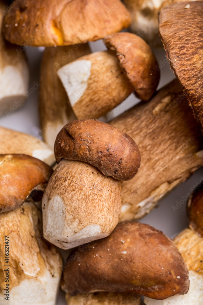 Boletus edulis (king bolete) on a white plate Boletus edulis (king bolete) on a white plate