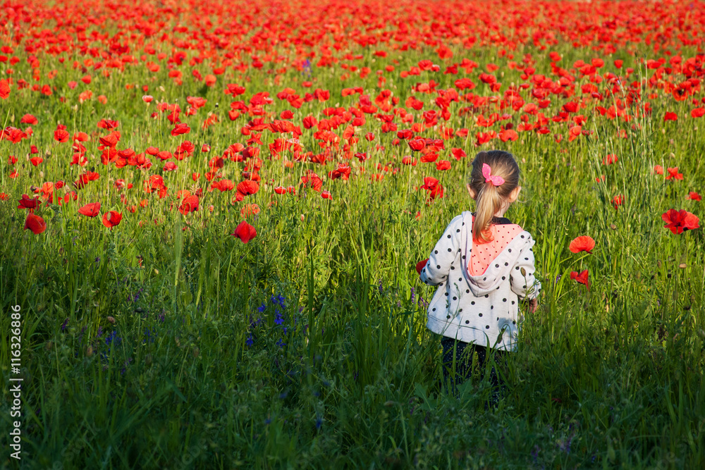 child girl in poppy field child girl in poppy field