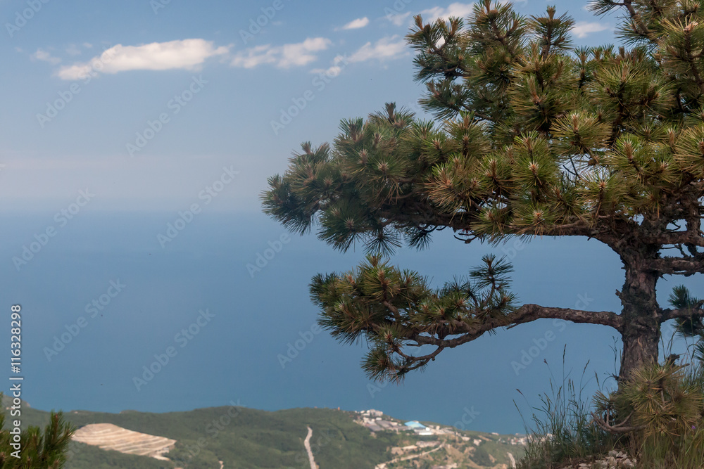 Beautiful view of the southern coast in Crimea Beautiful view of the southern coast in Crimea