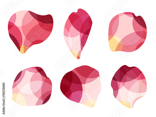 Elegant set of beautiful rose petals.