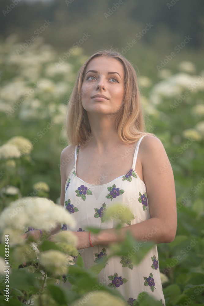 young beautiful woman in the warm rays of the evening sun walking on a green field with white flowers. young beautiful woman in the warm rays of the evening sun walking on a green field with white flowers.