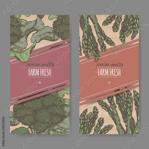 Set of two labels with asparagus and broccoli color sketch.