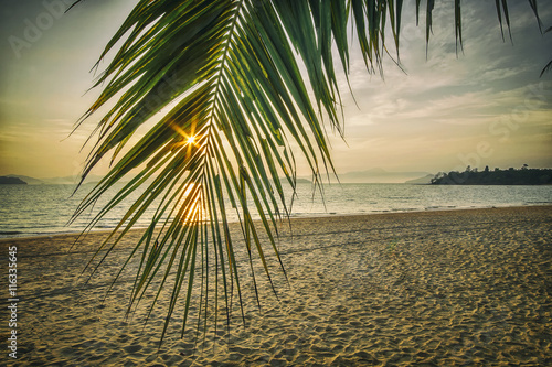 Sunrise with coconut palm leaves on tropical beach background  happy summer holiday concept