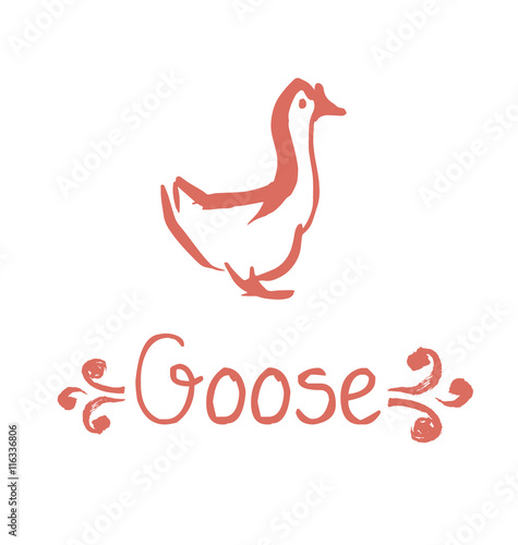 goose vector illustration. ...