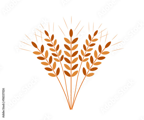 cereal icon