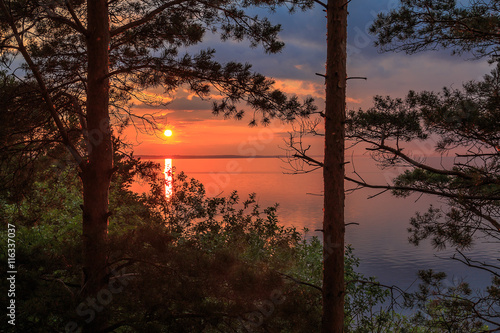 Sunset on the Volga River, the sun sets over the horizon, as seen from the shore between high pines