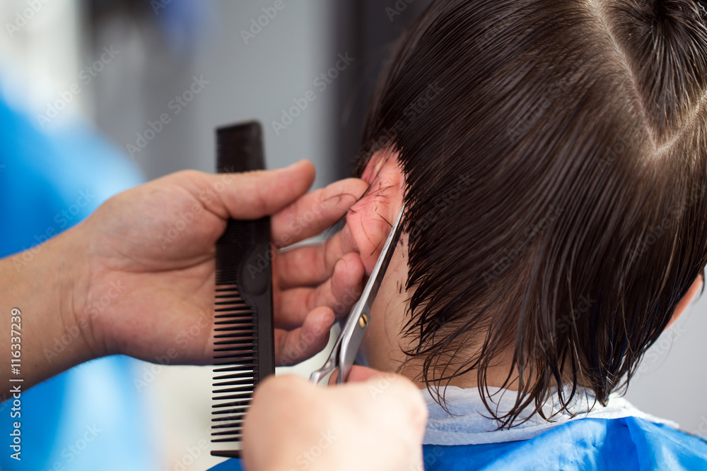 Obraz premium Ścinanie włosów nożyczkami, dłonie fryzjera